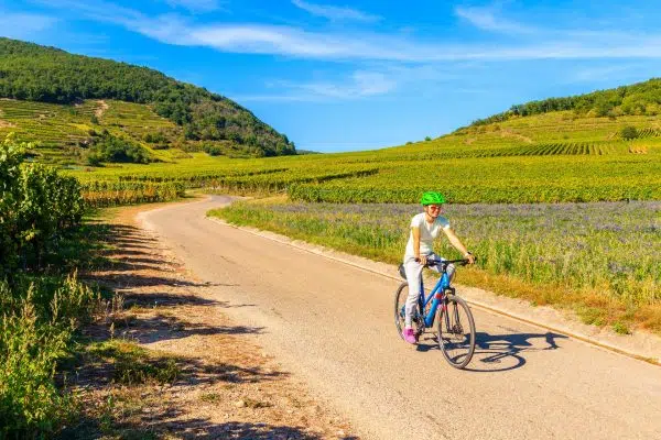 Young woman cycling on road along vineyards from Riquewihr to Kaysersberg village, Alsace Wine Route, France Young woman cycling on road along vineyards from Riquewihr to Kaysersberg village, Alsace Wine Route, France