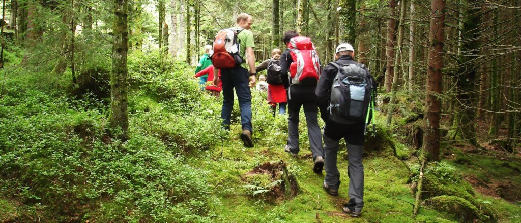 balade nature en famille accompagnee au camping au clos de la chaume