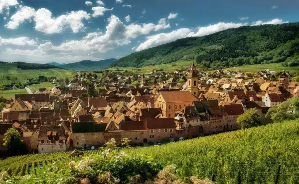 route des vins alsace 2