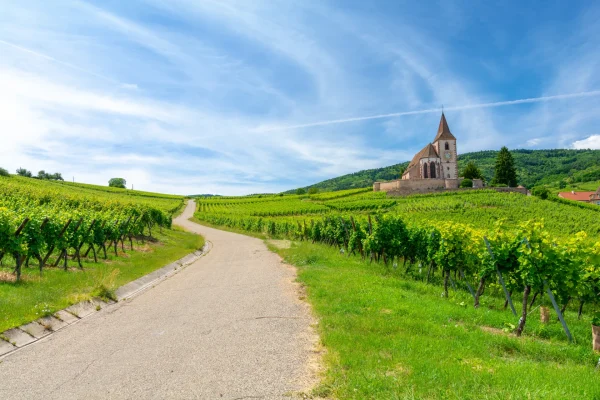 route des vins alsace 5