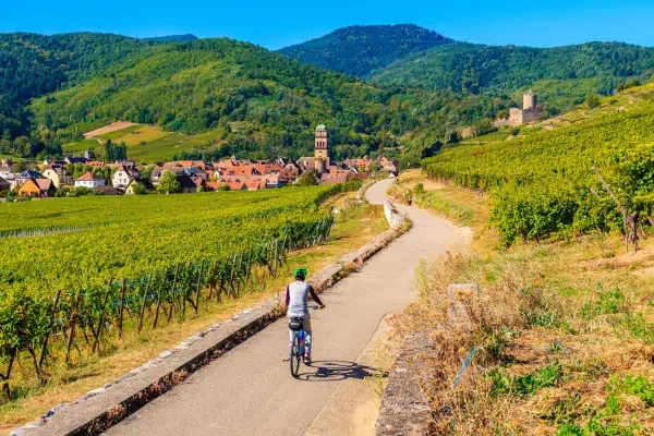 route des vins alsace 6