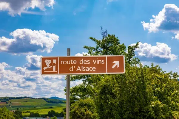 route des vins alsace 7