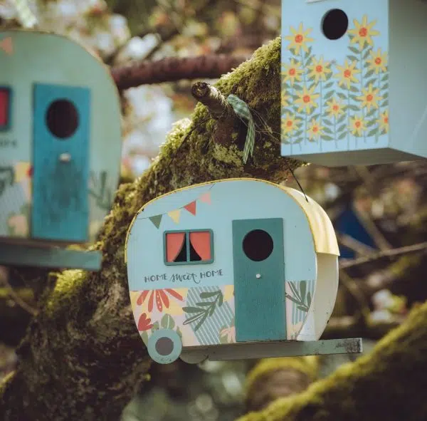 A collection of quirky birdhouses