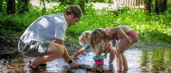 camping familial grand est camping au clos de la chaume 1920